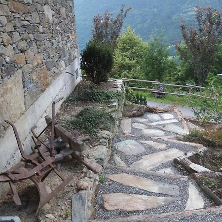 Agriturismo Al Castagneto Villa Mazzo di Valtellina Exteriör bild