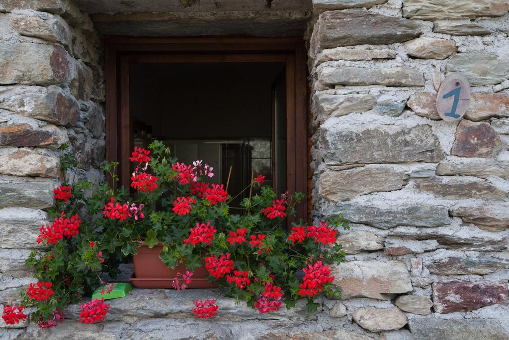 Agriturismo Al Castagneto Villa Mazzo di Valtellina Exteriör bild