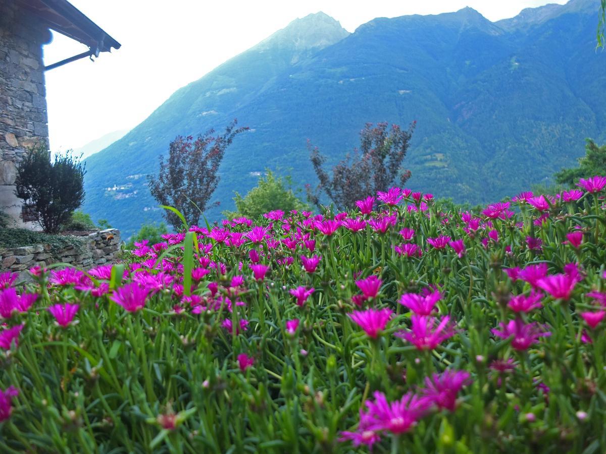 Agriturismo Al Castagneto Villa Mazzo di Valtellina Exteriör bild