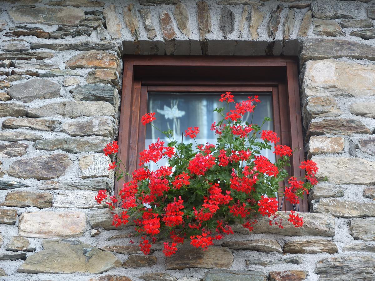 Agriturismo Al Castagneto Villa Mazzo di Valtellina Exteriör bild